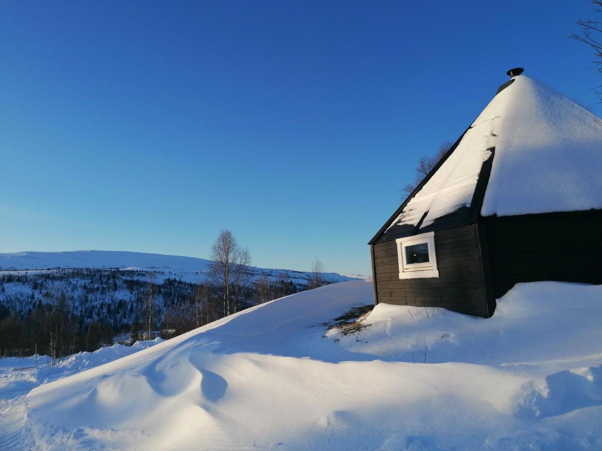 VårhusHessdalen Ufocampアパートメント エクステリア 写真