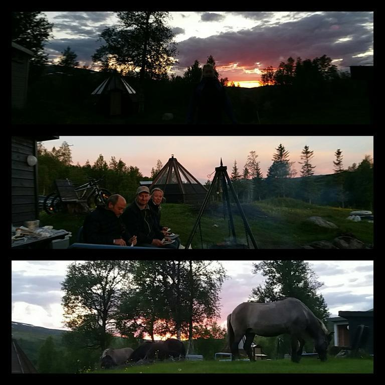 VårhusHessdalen Ufocampアパートメント エクステリア 写真