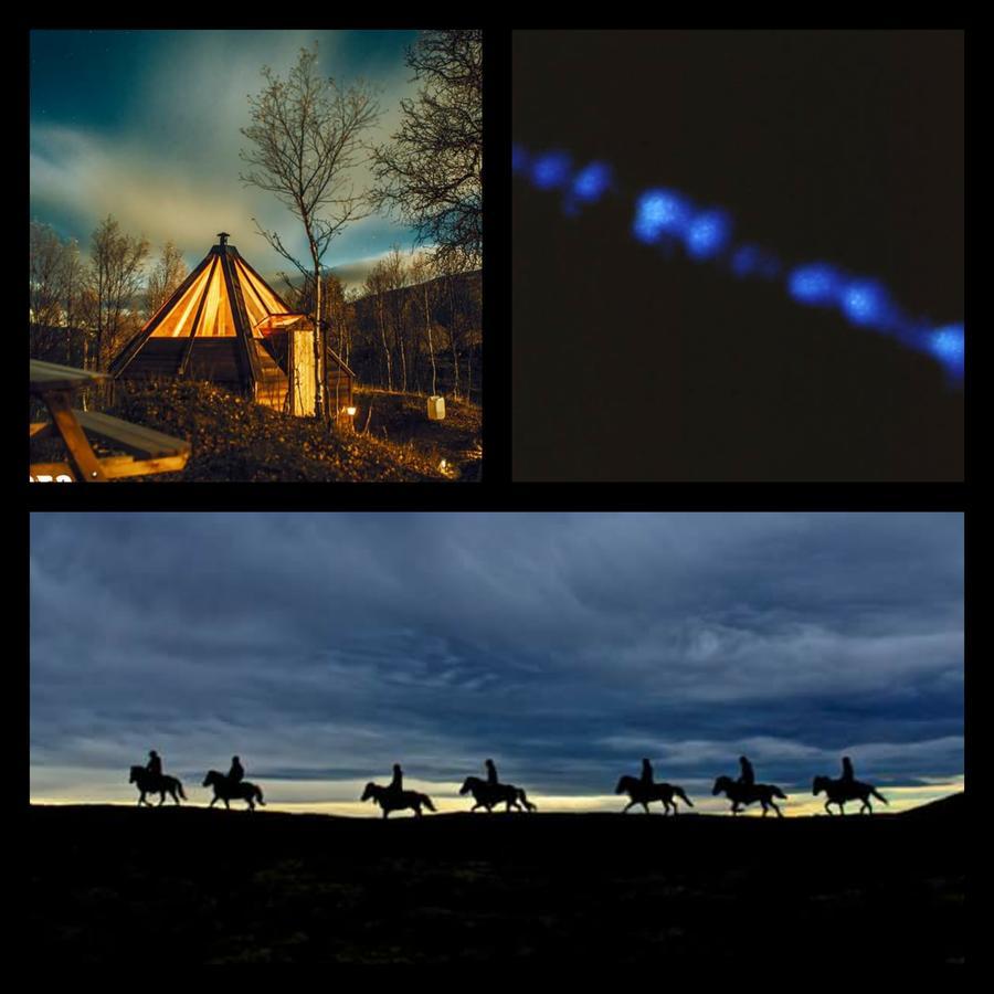 VårhusHessdalen Ufocampアパートメント エクステリア 写真