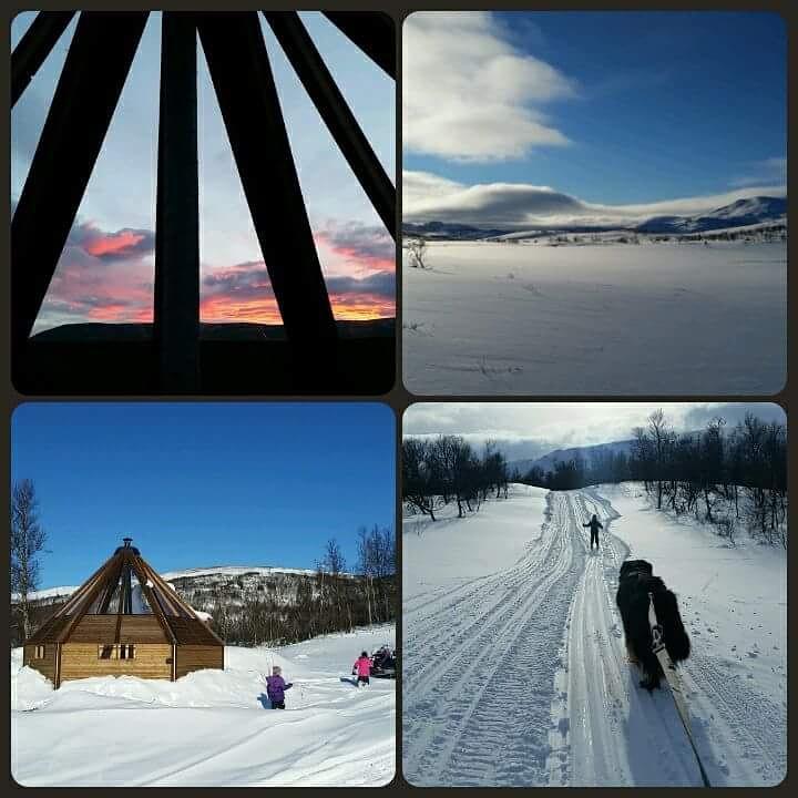 VårhusHessdalen Ufocampアパートメント エクステリア 写真